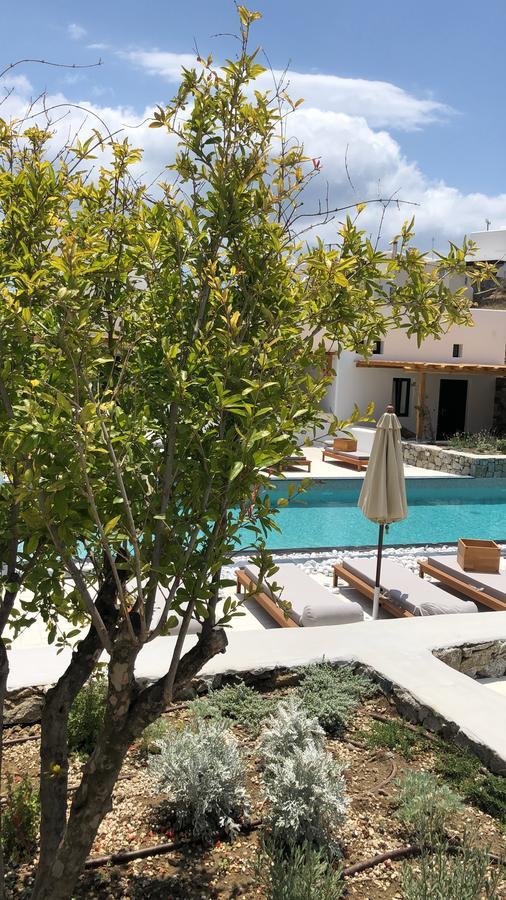 Mykonos Drops Hotell Platys Gialos  Exteriör bild